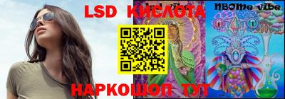 a pvp Кандалакша